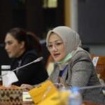 Adde Rosi Kutuk Keras Pencabulan Gadis Difabel