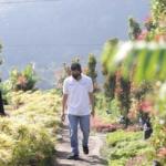 Pln Kembangkan 104 Desa Wisata Melalui Program Pjsl