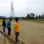 Sejumlah Petani Di Kampung Sentral Ngeluh, Bertahun- Tahun Sawah Aktif Terendam Banjir