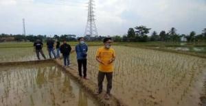 Dinas Pertanian Lebak Akui Ada Penyempitan Saluran Dan Pernah Menggeruk Sedimentasi 1 Dinas Pertanian Lebak Akui Ada Penyempitan Saluran Dan Pernah Menggeruk Sedimentasi