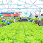 Lewat Program Electrifiying Agriculture, Pln Sumbang 4,85 Miliar
