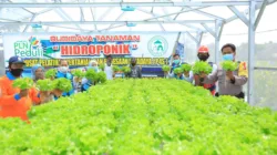 Lewat Program Electrifiying Agriculture, PLN Sumbang 4,85 Miliar I Harian Terbit