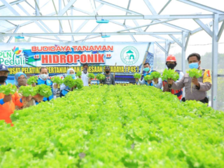 Lewat Program Electrifiying Agriculture, Pln Sumbang 4,85 Miliar