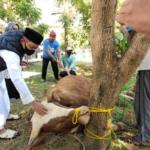 Relawan Kita Salurkan Daging Qurban Untuk Warga Terdampak Covid