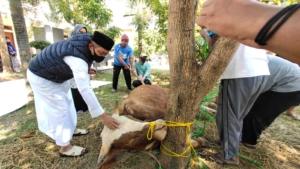 Relawan Kita Salurkan Daging Qurban Untuk Warga Terdampak Covid 3 Relawan Kita Salurkan Daging Qurban Untuk Warga Terdampak Covid