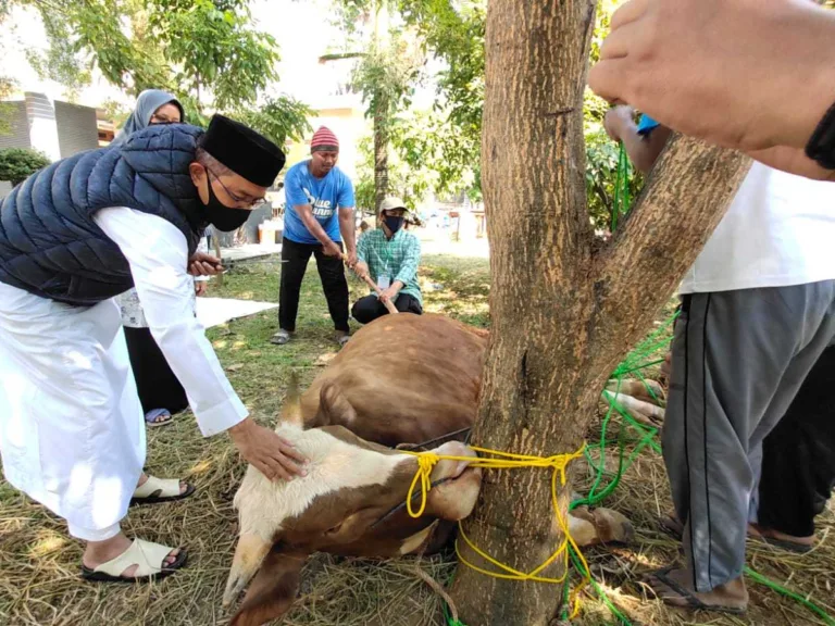 Relawan KITA Salurkan Daging Qurban untuk Warga Terdampak Covid