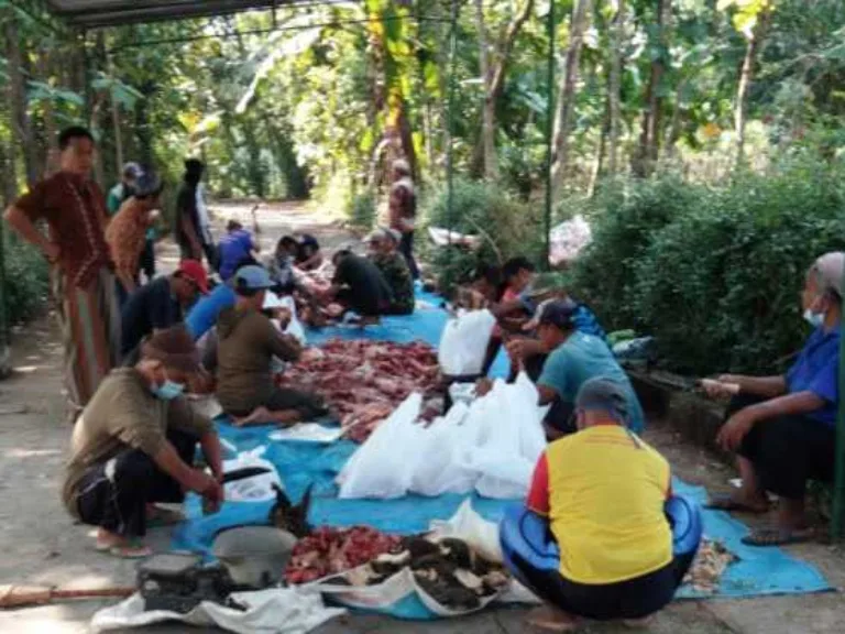 Berkah Daging Kurban Dimasa Pandemi