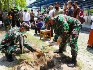 Danrem 064 My Tanam 20.000 Pohon Mangga Di Tanara