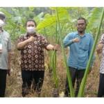 Distan Pandeglang Berikan Pelatihan Terhadap Kelompok Tani Di Kaduhejo