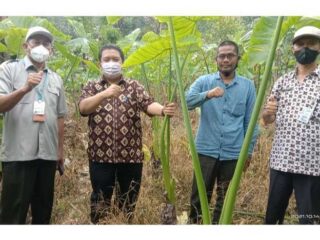 Distan Pandeglang Berikan Pelatihan Terhadap Kelompok Tani Di Kaduhejo