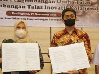 Talas Beneng Pandeglang Akan Dikembangkan Rpik Balitbang Kementerian Ri