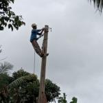 Kamnas Bongkar Dugaan Penggelembungan Anggaran Bantuan Hukum Di Pln