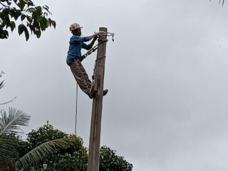 Kamnas Bongkar Dugaan Penggelembungan Anggaran Bantuan Hukum Di Pln