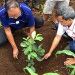 Mantap ...!!! Zaki Kembali Tanam Pohon Jambu Kristal Disukabumi