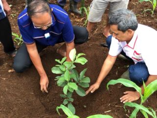 Mantap ...!!!  Zaki Kembali Tanam Pohon Jambu Kristal  Disukabumi