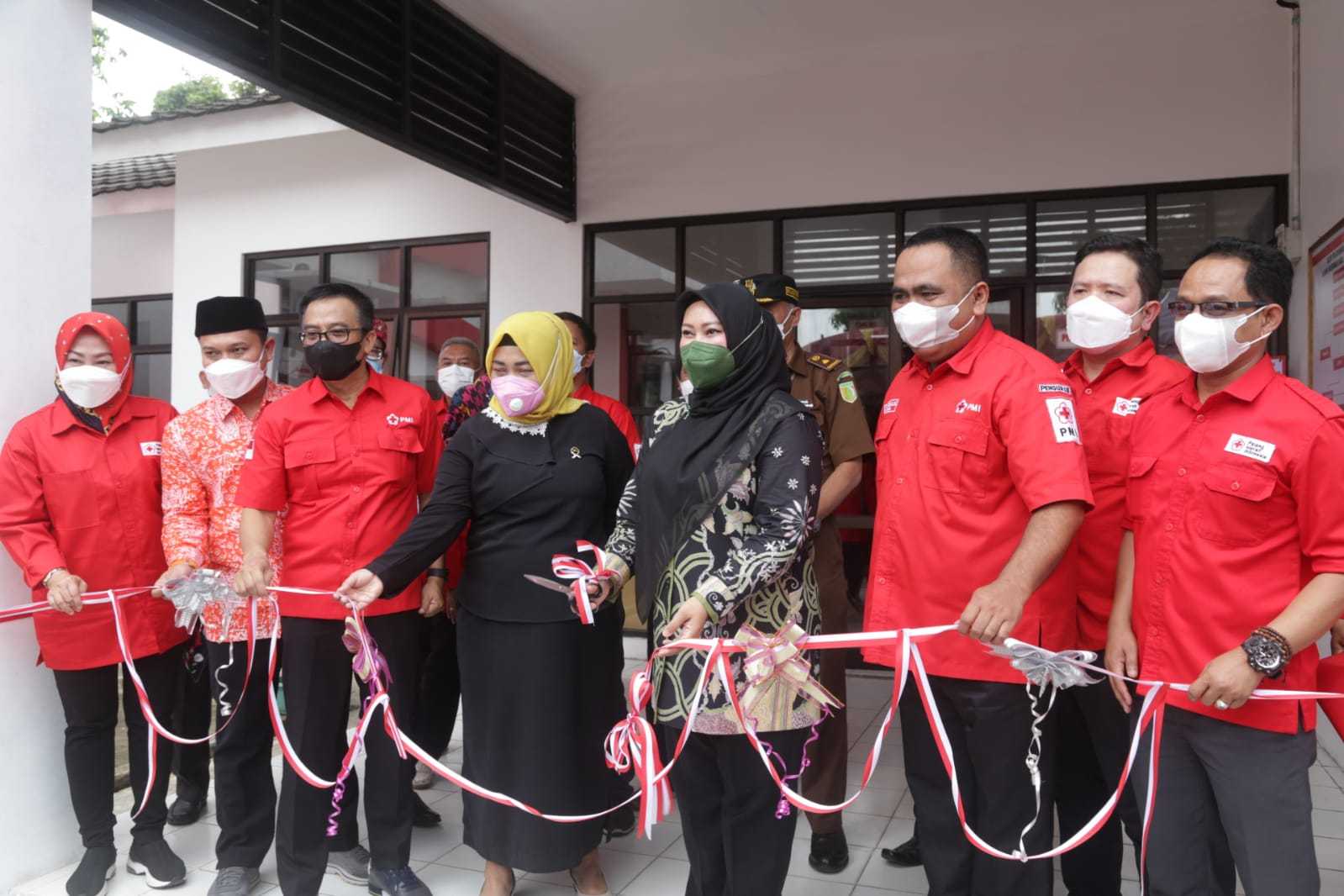 Bupati Pandeglang, Irna Narulita Resmikan Udd Dan Klinik Rusdinar