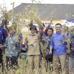 Nasib Kedelai Di Negeri Luas Dan Subur