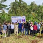 Wujudkan Ekosistem Pertanian, Ayep Zaki Lakukan Penanaman Perdana Pisang Cavendish Di Sukabumi