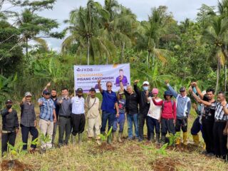 Wujudkan Ekosistem Pertanian, Ayep Zaki Lakukan Penanaman Perdana Pisang Cavendish Di Sukabumi