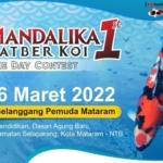 Renten Koi Lotara Siap Meramaikan Mandalika Latber Koi 1