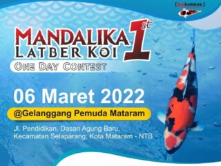 Renten Koi Lotara Siap Meramaikan Mandalika Latber Koi 1