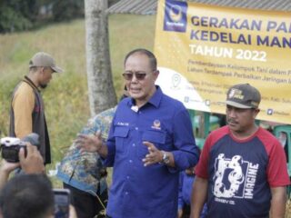 Indonesia Bisa Hasilkan Kedelai Sendiri