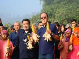 Buktikan Komitmen Di Sektor Pertanian, Ayep Zaki Gelar Panen Perdana Jagung Hibrida