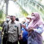 Bupati Pandeglang, Irna Tinjau Lapak Penjual Hewan Kurban