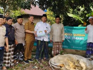 Semangat Idul Adha, Nu Kabupaten Serang Bagikan Daging Kurban Untuk Masyarakat