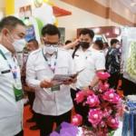 Wabup Pandeglang Tanto : &Amp;Quot;Umkm Sektor Penguat Ekonomi Masyarakat&Amp;Quot;