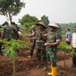 Jaga Ketahanan Pangan, Danrem 064/My Tanam Jagung Bersama Masyarakat