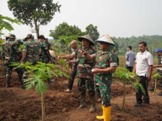 Jaga Ketahanan Pangan, Danrem 064/My Tanam Jagung Bersama Masyarakat