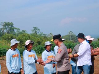 Ayep Zaki Bersama Polri Melaksanakan Panen Jagung Di Purabaya Dan Sukabumi