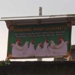 Tak Berikan Bpjs Kesehatan Dan Ketenaga Kerjaan, Pt. Intertama Di Kabupaten Serang Disoroti Aktivis Banten