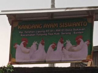 Tak Berikan Bpjs Kesehatan Dan Ketenaga Kerjaan, Pt. Intertama Di Kabupaten Serang Disoroti Aktivis Banten
