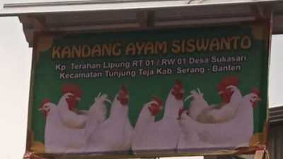 Tak Berikan BPJS Kesehatan dan Ketenaga Kerjaan, PT. Intertama Di Kabupaten Serang Disoroti Aktivis Banten I Harian Terbit