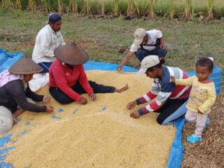 Ayep Zaki Tampung Hasil Panen Kedelai Petani Manggarai Barat Ntt