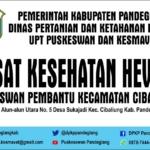 Puskeswan Pembantu Kecamatan Cibaliung Mulai Beroperasi Awal September 2022