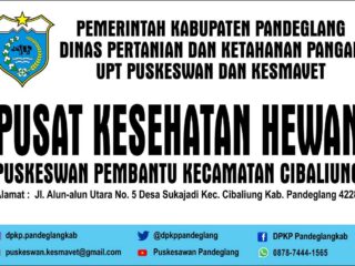 Puskeswan Pembantu Kecamatan Cibaliung Mulai Beroperasi Awal September 2022