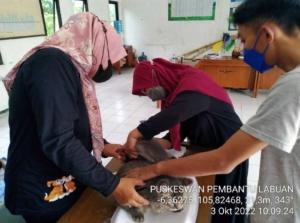 Catat ! Waktu Dan Tempat Pelayanan Dokter Hewan Di Puskeswan Pembantu Labuan