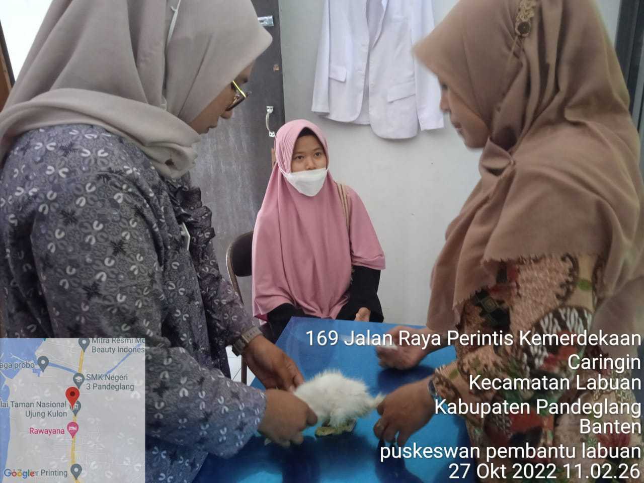 Catat ! Waktu Dan Tempat Pelayanan Dokter Hewan Di Puskeswan Pembantu Labuan 1 Catat ! Waktu Dan Tempat Pelayanan Dokter Hewan Di Puskeswan Pembantu Labuan