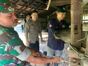 Dpkp Pandeglang Optimis Target Penandaan Dan Pendataan Hewan Ternak Tercapai Akhir Tahun