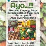 Penkab Pandeglang Laksanakan Kegiatan Pengendalian Inflasi Pangan Daerah Melalui Pasar Tani