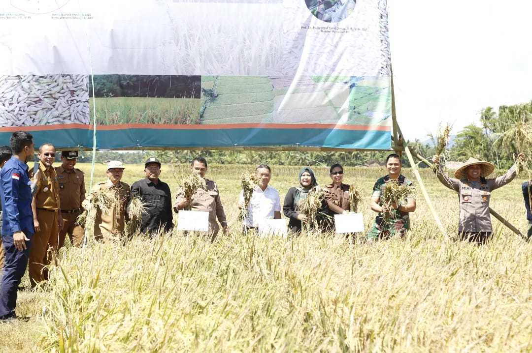 Kementan Gelar Panen Raya Padi Perdana 2023 Di Pandeglang 1 Kementan Gelar Panen Raya Padi Perdana 2023 Di Pandeglang