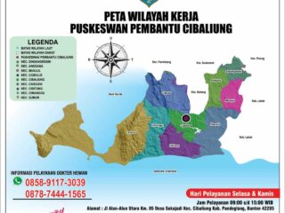Segini Luas Wilayah Kerja Puskeswan Pembantu Kecamatan Cibaliung
