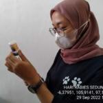 Cakupan Pelayanan Vaksinasi Hewan Penular Rabies Perlu Ditingkatkan