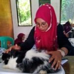 Ini Potret Layanan Puskeswan Pembantu Labuan Setelah Enam Bulan Beroperasi