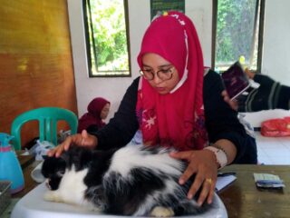 Ini Potret Layanan Puskeswan Pembantu Labuan Setelah Enam Bulan Beroperasi