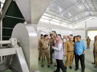 Tinjau Pabrik Porang, Bupati Irna Harap Pandeglang Jadi Sentra Budi Daya Porang