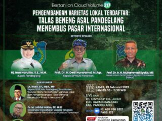 Varietas Lokal Talas Beneng Asal Pandeglang Menembus Pasar Internasional